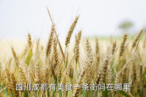 四川成都有美食一條街嗎在哪里