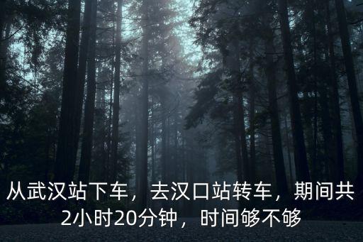 武漢站怎么最快去漢口站,去漢口站轉車