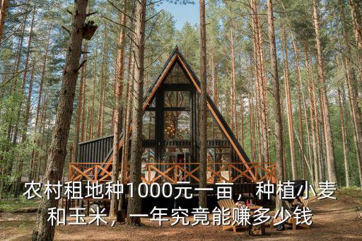 張家口種地一年能掙多少錢,一年究竟能賺多少錢