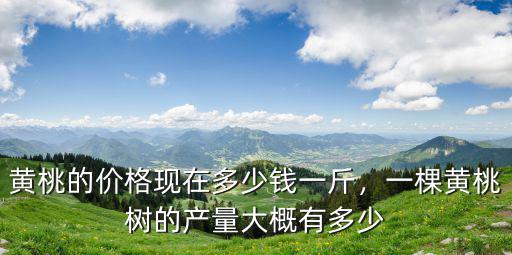 河北衡水的黃桃多少錢一斤,黃桃的價格現在多少錢一斤
