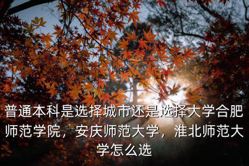 淮北師范大學的學費多少,淮北師范大學怎么選