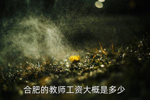 合肥美工的工資一般是多少錢一個月,合肥的教師工資大概是多少