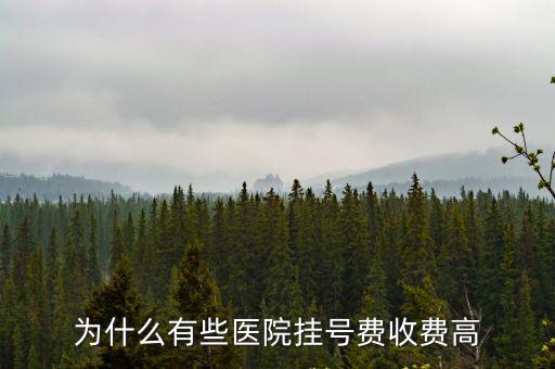 廊坊醫院掛號費多少錢,醫院收掛號費是不是亂收費