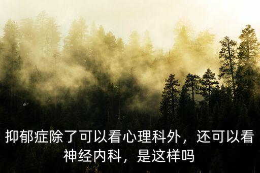 抑郁癥除了可以看心理科外，還可以看神經內科，是這樣嗎