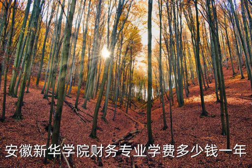 安徽新華公學學費多少,合肥新華公學怎么樣