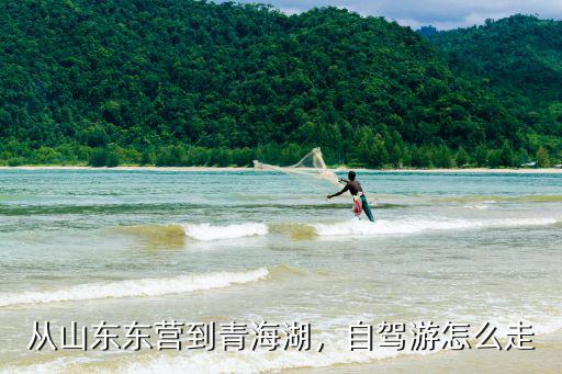 從河南鄭州到山東東營怎么走,從山東東營到青海湖