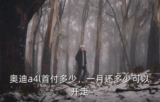 奧迪a4l首付多少，一月還多少可以開走