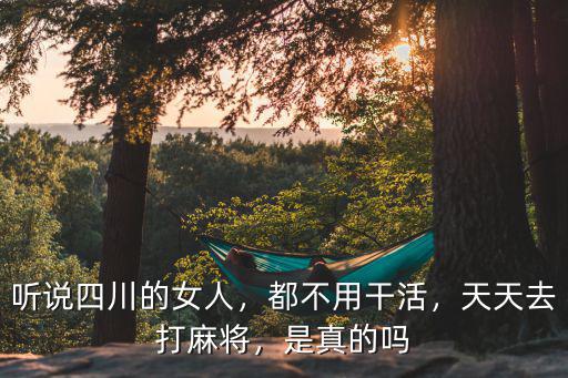 聽說四川的女人，都不用干活，天天去打麻將，是真的嗎
