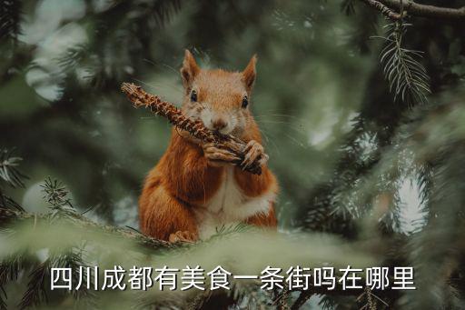 辣椒油成都哪里買,想到成都買地道的辣椒和花椒