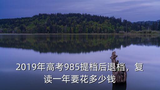 衡水補習一年多少錢,復讀一年要花多少錢