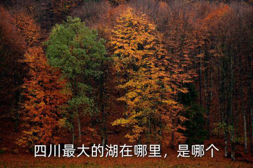 四川最大的湖在哪里，是哪個