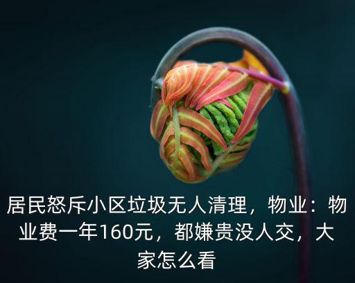 居民怒斥小區垃圾無人清理，物業：物業費一年160元，都嫌貴沒人交，大家怎么看