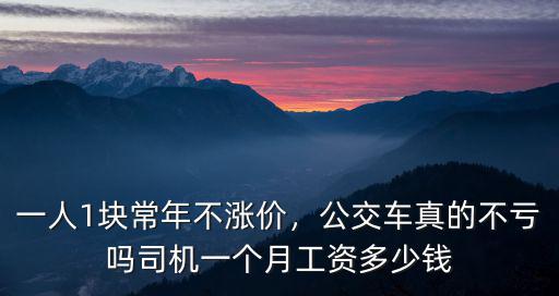 一人1塊常年不漲價，公交車真的不虧嗎司機一個月工資多少錢