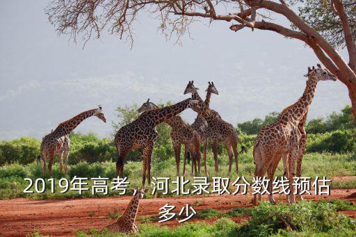 河北省高考分數線預計多少人,河北錄取分數線預估多少