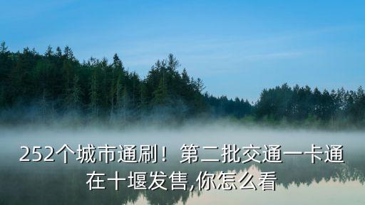 252個城市通刷！第二批交通一卡通在十堰發售,你怎么看
