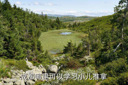 成都寶寶推拿哪里好,成都哪里可以學習小兒推拿