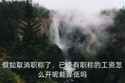 假如取消職稱了，已經有職稱的工資怎么開呢能降低嗎