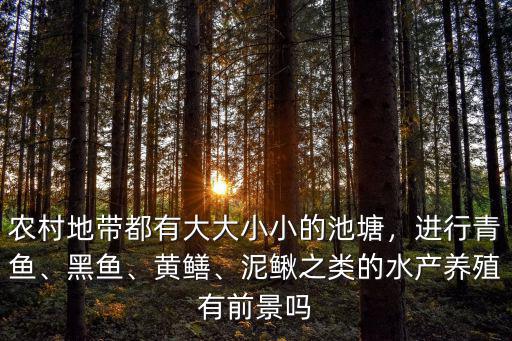 南充哪里有養殖黃鱔,養殖黃鱔前景如何