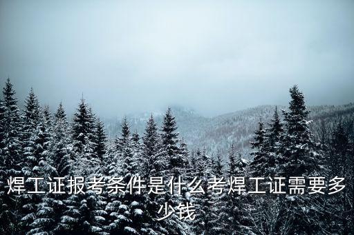 邯鄲技術(shù)學(xué)校考焊工證多少錢,考焊工證需要多少錢