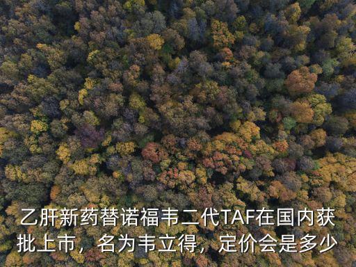 乙肝新藥替諾福韋二代TAF在國內獲批上市，名為韋立得，定價會是多少