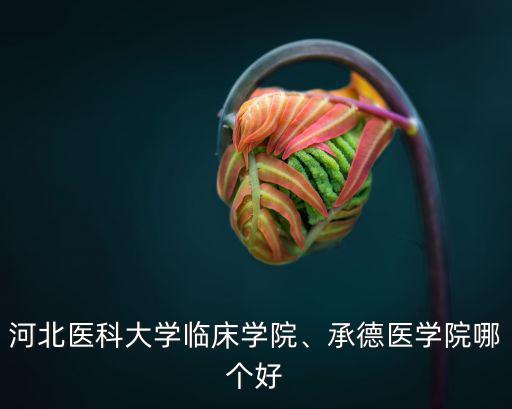 河北大學(xué)臨床醫(yī)學(xué)院學(xué)費(fèi)多少,河北醫(yī)科大學(xué)臨床學(xué)院