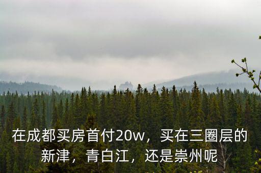 成都青白江跟新津買房哪里比較好,青白江和新津