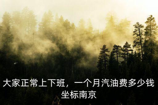 大家正常上下班，一個月汽油費多少錢坐標(biāo)南京