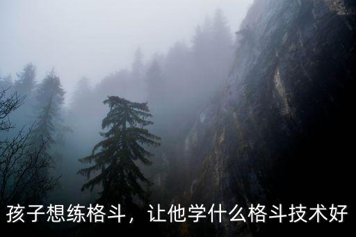 南充哪里可以學格斗,在哪里可以學習格斗術