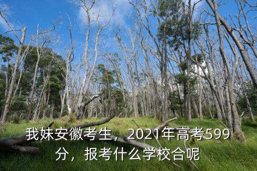我妹安徽考生，2021年高考599分，報考什么學校合呢