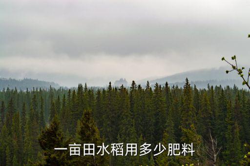 復合肥是多少千克,盛果期每棵桃樹施多少復合肥