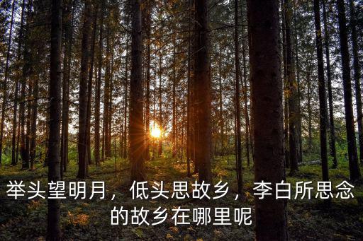 李白四川故鄉(xiāng)在哪里,李白的故鄉(xiāng)到底在哪里