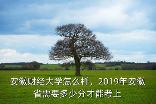 18年安徽最高分是多少分,今年安徽高考分?jǐn)?shù)會(huì)是多少