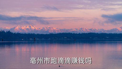 亳州市跑滴滴賺錢嗎