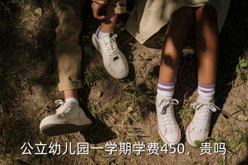 石家莊幼兒園公立一學期多少錢,你們當地幼兒園一學期多少錢