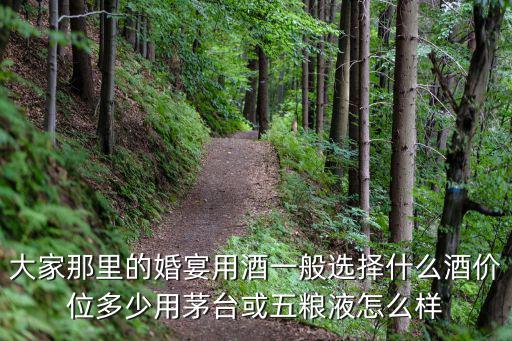 在邯鄲婚宴用用多少錢的白酒好,用多少錢的白酒合適