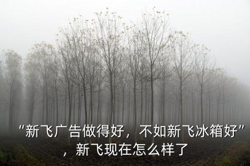 新鄉(xiāng)市新飛專汽怎么樣,新飛現(xiàn)在怎么樣了