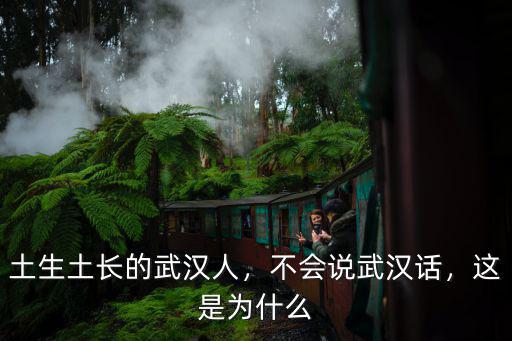 武漢話水貨怎么說,不會說武漢話