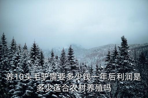 養10頭毛驢需要多少錢一年后利潤是多少適合農村養殖嗎