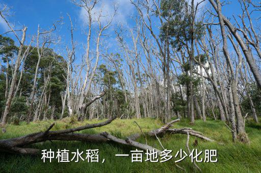 復(fù)合肥一畝地施多少肥料,一畝地施多少合適