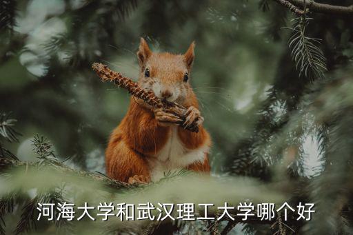 武漢理工大學(xué)巖土jd班怎么樣,孩子被武漢理工大學(xué)錄取