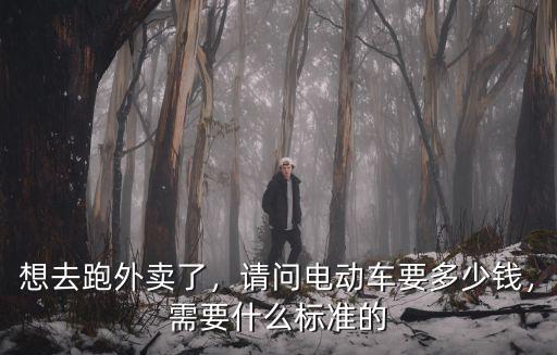 想去跑外賣了，請問電動(dòng)車要多少錢，需要什么標(biāo)準(zhǔn)的