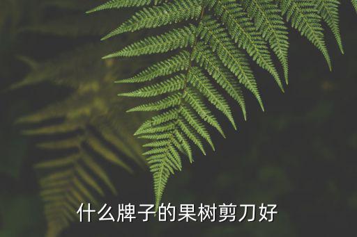 瀘州哪里有果樹剪刀賣,哪里有剪樹剪子