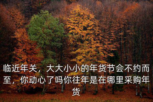 信陽年貨節(jié)在哪里,你往年是在哪里采購年貨