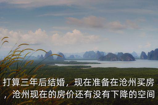 打算三年后結(jié)婚，現(xiàn)在準(zhǔn)備在滄州買房，滄州現(xiàn)在的房價(jià)還有沒有下降的空間