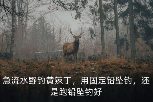 樂山哪里釣黃辣丁,黃辣丁怎么釣