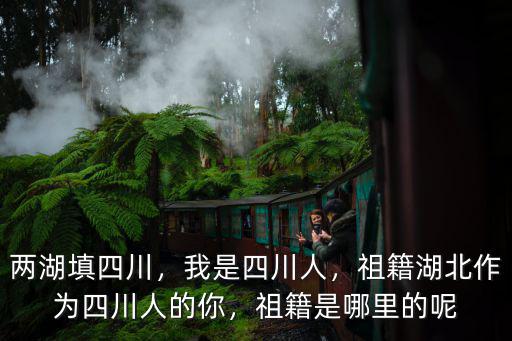 兩湖填四川，我是四川人，祖籍湖北作為四川人的你，祖籍是哪里的呢