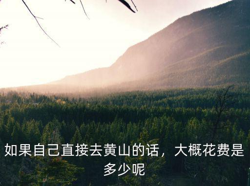 黃山的山灰多少錢呢,玩遍黃山需要多少錢