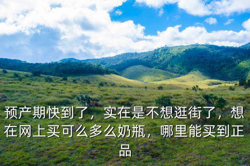 預產期快到了，實在是不想逛街了，想在網上買可么多么奶瓶，哪里能買到正品