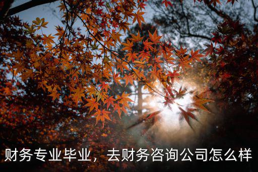 武漢玉鑫昌企業財務咨詢有限公司怎么樣,去財務咨詢公司怎么樣