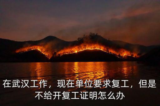 現在怎么進武漢復工,武漢現在開始陸續復工了